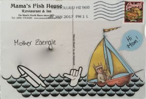 Is that me waving from the surf?