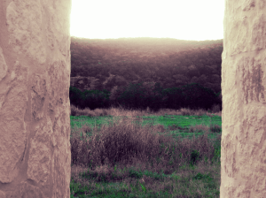 Aviary Photo_130721970378283428