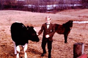 Peter and the calf, named Sock-It-To-Me Sunshine, with Shetland pony, Rosie, in the background