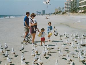 Feeding seagulls